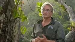 Mystérieux insectes, sur la piste des origines