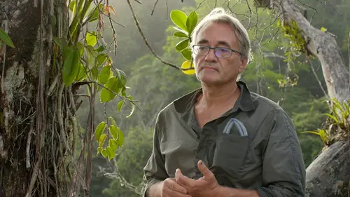 Mystérieux insectes, sur la piste des origines