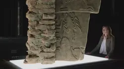 Mystérieux objets Vulture Stone, Isolator, Armored Skeleton