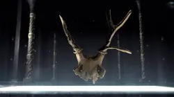 Mystérieux objets Crâne de cerf, disque céleste et ampoule steampunk