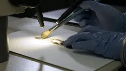 Mystérieux rouleaux de la mer Morte