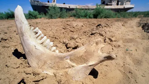 Mysterious Islands Iles abandonnées