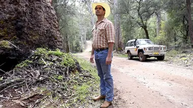 Mystery Road : les origines