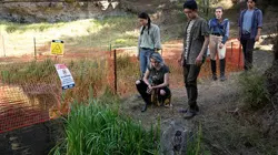 Sur Canal+ Kids à 19h03 : Mystic