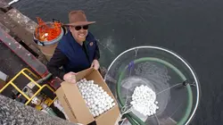 Mythbusters : quel est votre problème ? S01E12 Coincé sous l'eau