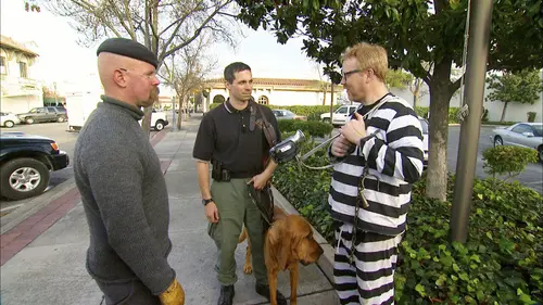 Mythbusters : quel est votre problème ? S01E16 Faites le vide