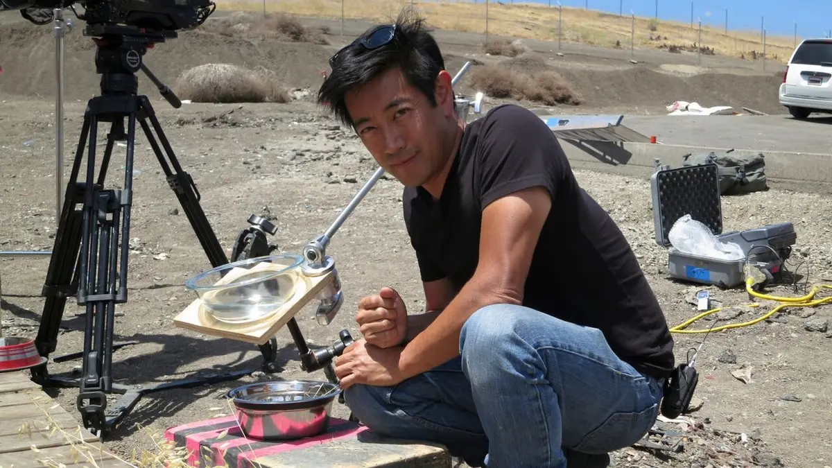 Visuel de Mythbusters : quel est votre problème ? Animaux et projectiles