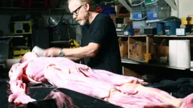 Mythbusters S10E17 Nuit d'effroi