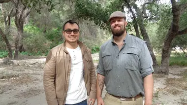 Mythbusters S16E06 Assommé par une plume