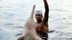 Mythologies animales