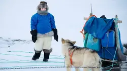 Mythologies animales