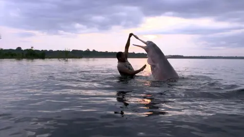 Mythologies animales E02 Les enfants du dauphin rose