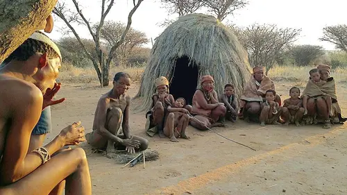 Mythologies animales E01 Dans l'oeil du lion