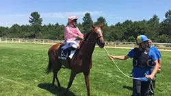 Visuel de Naissance d'une casaque