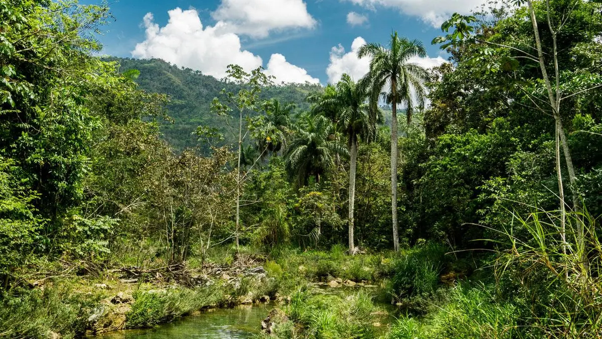 Naked and Afraid S05E11 L'enfer au Honduras