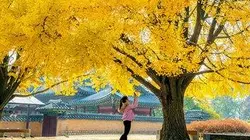 Visuel de Namibie, l'Afrique hors du temps