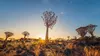 Namibie : L'Incroyable Far-West Africain