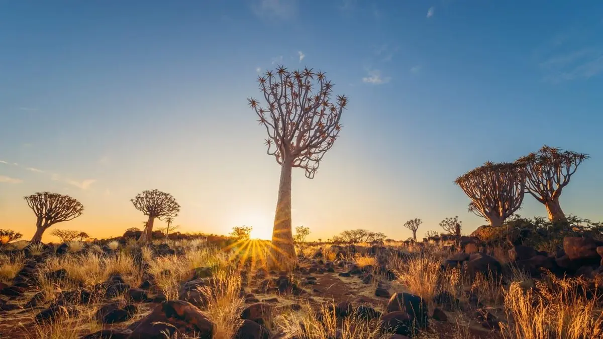 Namibie : L'Incroyable Far-West Africain