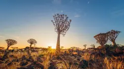 Namibie : L'Incroyable Far-West Africain