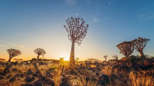 Namibie : L'Incroyable Far-West Africain
