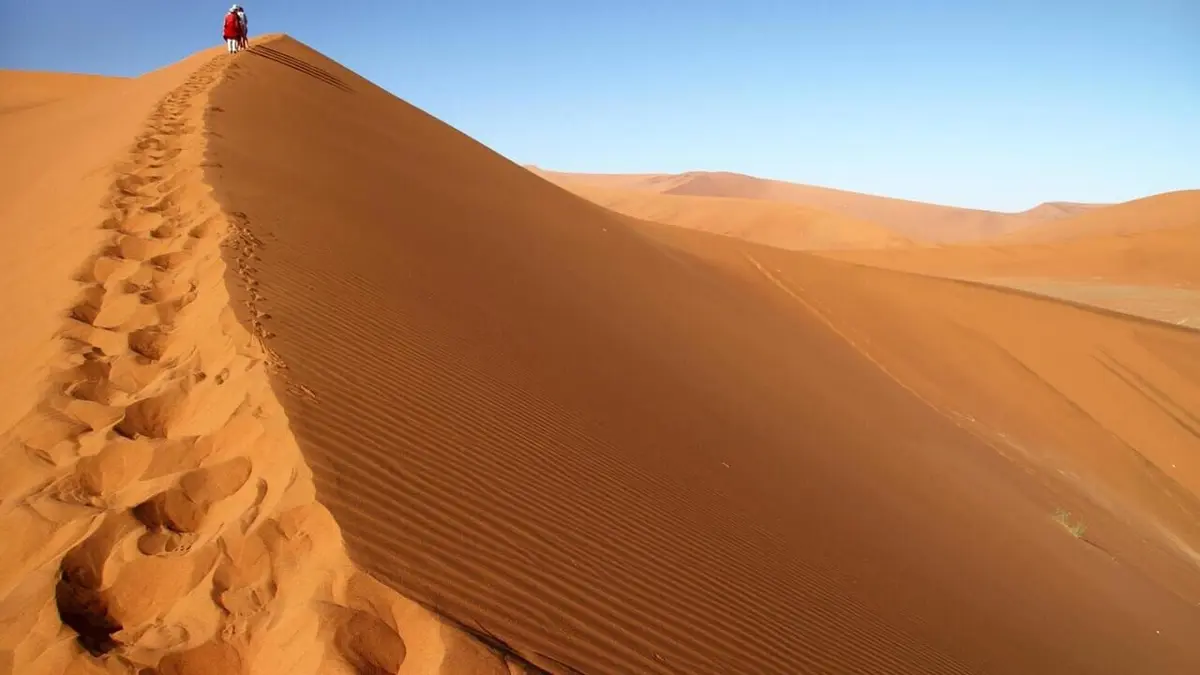 Namibie, la vie des sables
