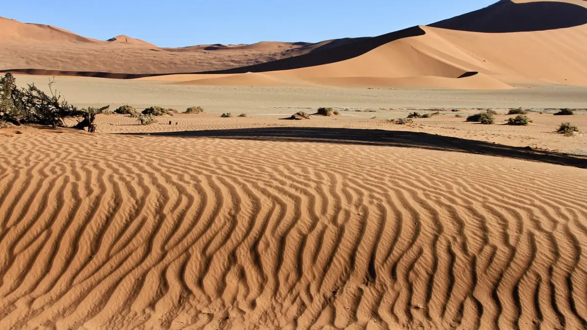 Namibie sauvage Survivre aux confins de l'extrême