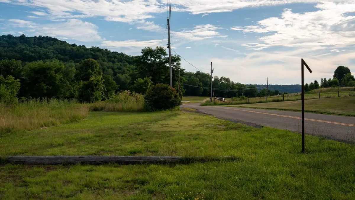Naming the Dead Le squelette dans la forêt