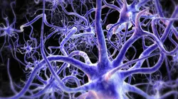 Nanomédecine : la nouvelle révolution