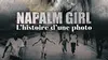Napalm Girl - L'histoire d'une photo