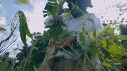 Narco Wars : les routes de l'opium