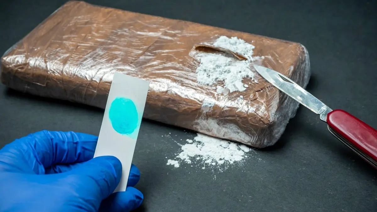 Narcos français, l'enquête