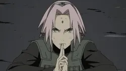 Naruto Shippuden S18E02 Protection mutuelle