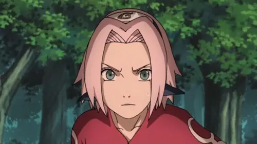 Naruto Shippuden S20E24 Le pouvoir scellé