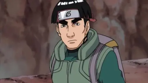 Naruto Shippuden S01E28 La résurrection des fauves en streaming