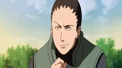 Naruto Shippuden S03E09 Coéquipier en streaming