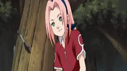 Naruto Shippuden S04E03 Sous le ciel étoilé en streaming