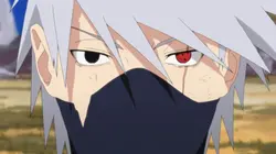 Naruto Shippuden S04E14 Un terrible secret en streaming