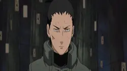 Naruto Shippuden S04E15 Le talent de Shikamaru en streaming