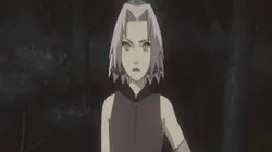 Casting Naruto Shippuden S05E12 Dans le brouillard