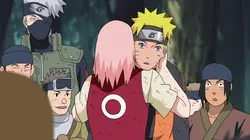Naruto Shippuden S08E24 Le héros de Konoha en streaming