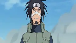 Naruto Shippuden S09E10 Le monde des animaux en streaming