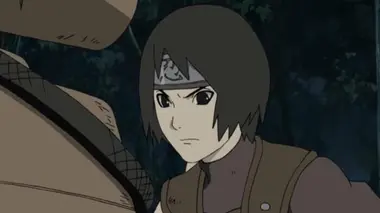 L'esthétique de l'artiste