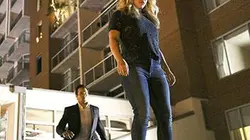 Visuel de Nashville