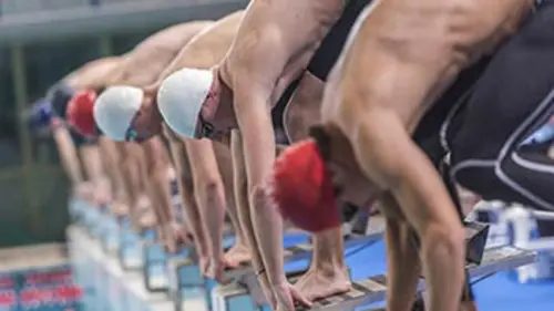 4e jour. Demi-finales et finales Natation Championnats du monde 2017