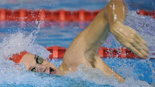 4e jour Natation Championnats de France 2015