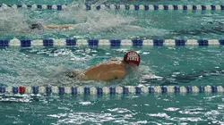 Natation : Championnats d'Europe