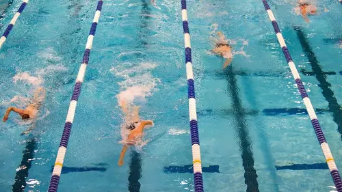 Natation : Championnats d'Europe