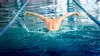 Natation Championnats de France petit bassin