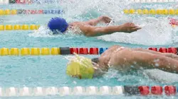 Visuel de Natation Championnats de France petit bassin 2024