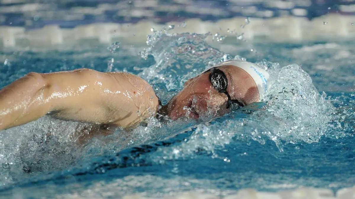 Natation Championnats du monde 2023